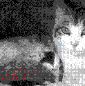 Roosevelt, Trotsky, and their wonderful mother, Patches