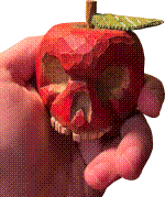 teacher_memento-mori