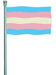 Trans Flag