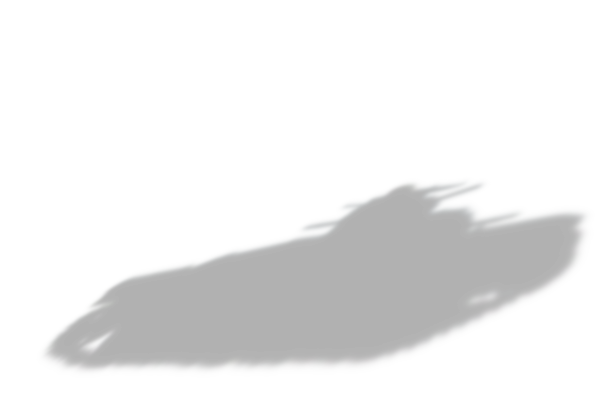 Type 95 Ha Go shadow