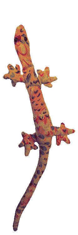 Beany, my childhood  sand-filled lizard from the dollar store.