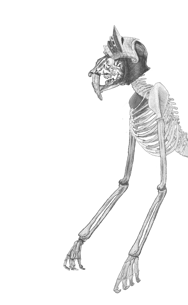 Drawn collage I made in Procreate. I basically made a digital collage and traced over it.