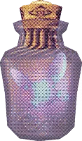 Fairy_Bottle
